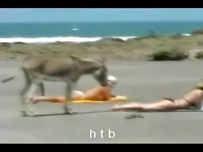 बाथरूम मध्ये प्रौढ licks